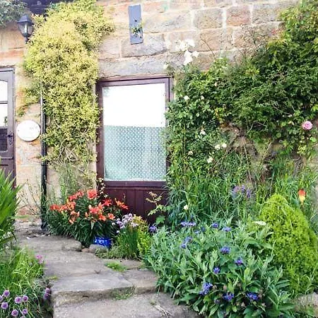 度假居 Wildflower 惠特比