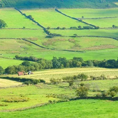 Wildflower 度假居 *